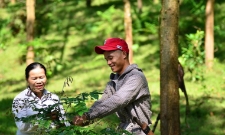 Nhiều doanh nghiệp đã đầu tư tiết kiệm năng lượng, giảm phát thải nhưng chưa nhận diện được khả năng phát triển tín chỉ carbon từ chính những hoạt động này.