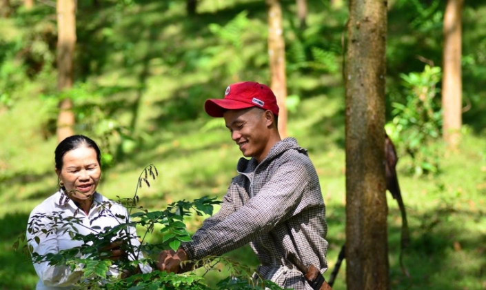 Nhiều doanh nghiệp đã đầu tư tiết kiệm năng lượng, giảm phát thải nhưng chưa nhận diện được khả năng phát triển tín chỉ carbon từ chính những hoạt động này.