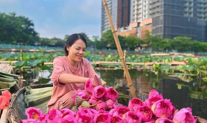 HTX sen Hà Nội nâng giá trị nông sản bằng tài sản trí tuệ
