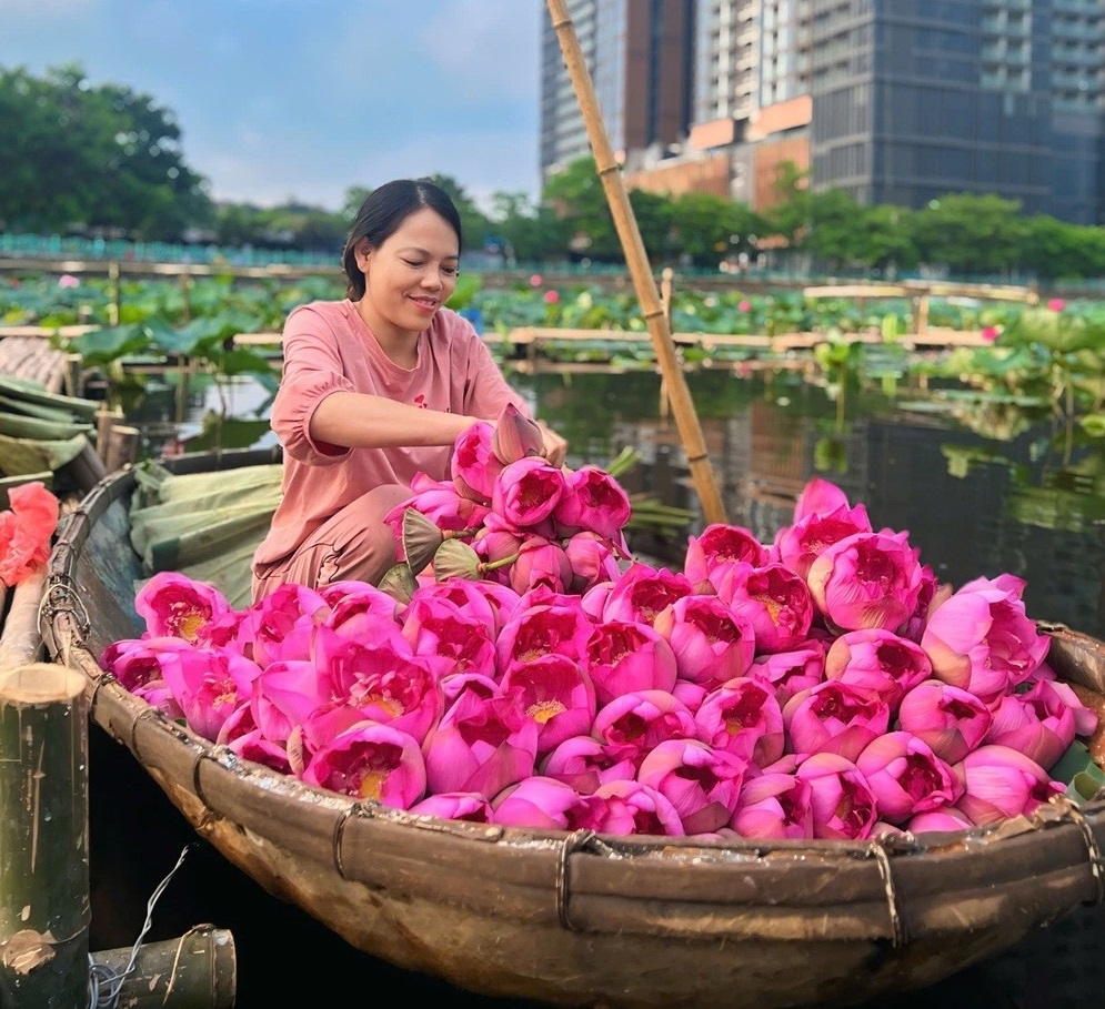 Nhiều HTX đã chú trọng đến sở hữu trí tuệ.