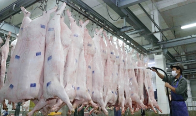 Mạng lưới cơ sở giết mổ gia súc, gia cầm tập trung trên địa bàn Hà Nội vừa được phê duyệt gồm 28 cơ sở, phân bố trên địa bàn 25 xã.