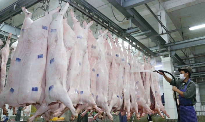 Mạng lưới cơ sở giết mổ gia súc, gia cầm tập trung trên địa bàn Hà Nội vừa được phê duyệt gồm 28 cơ sở, phân bố trên địa bàn 25 xã.