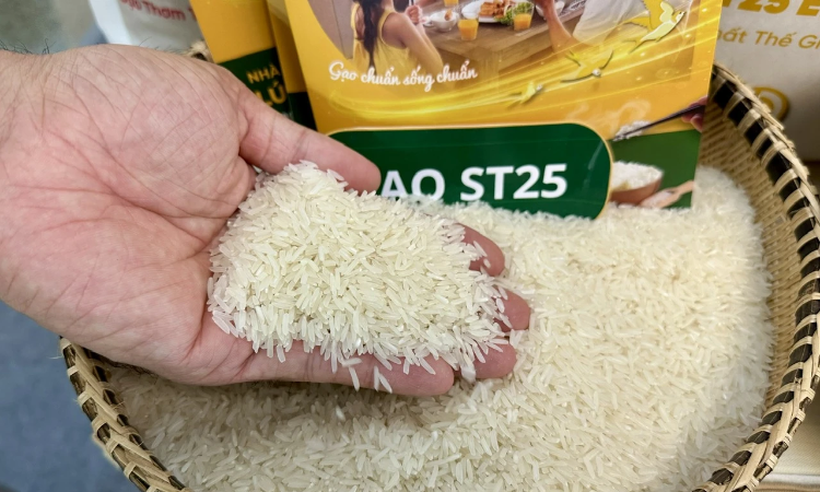 Gạo ST25 chính thức ‘lên kệ’ siêu thị bán buôn Selgros tại Đức