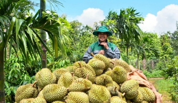 Dấu ấn đậm nét của Phú Mỹ tại Lễ hội Sầu riêng Đắk Lắk 2026