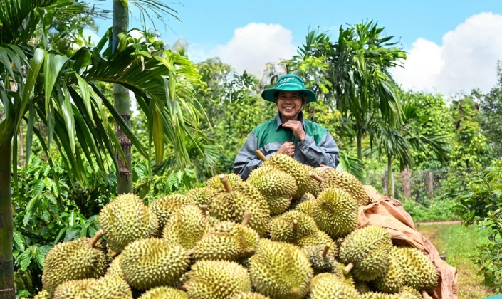 Dấu ấn đậm nét của Phú Mỹ tại Lễ hội Sầu riêng Đắk Lắk 2026