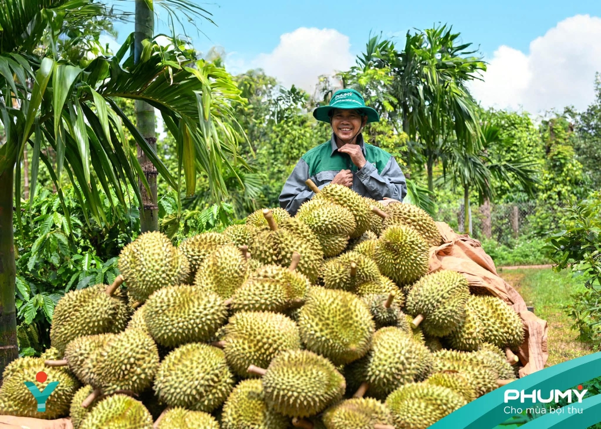 Bức ảnh tham gia Triển lãm ảnh nghệ thuật “Nữ hoàng của đại ngàn xanh”.