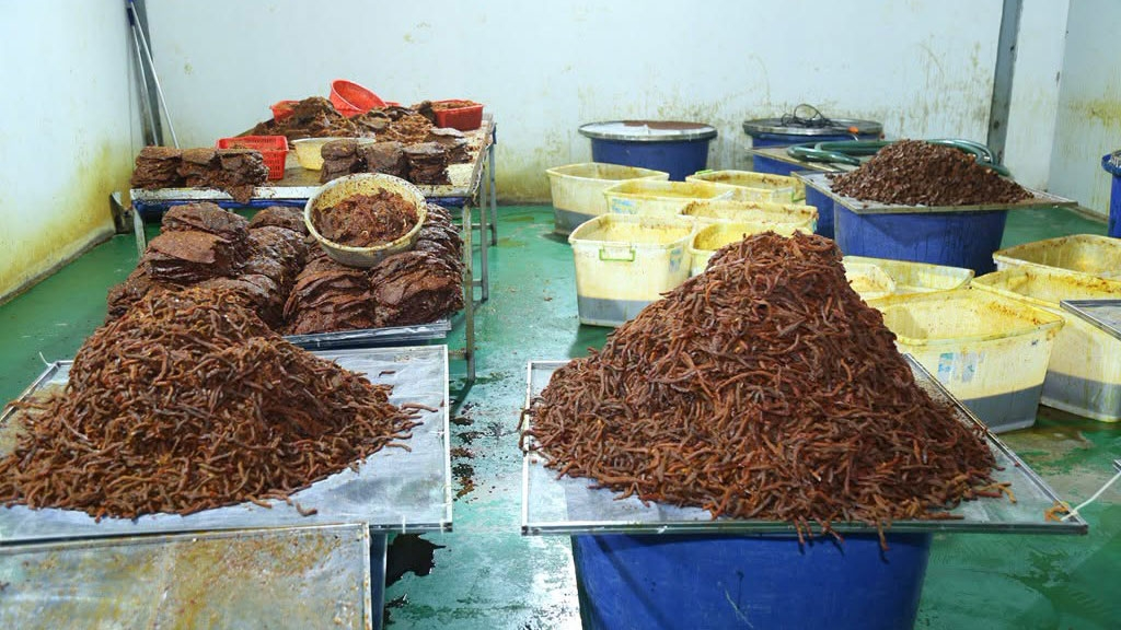 ‘Hô biến’ 130 tấn thịt trâu thành khô bò, bán công khai trên các sàn thương mại điện tử