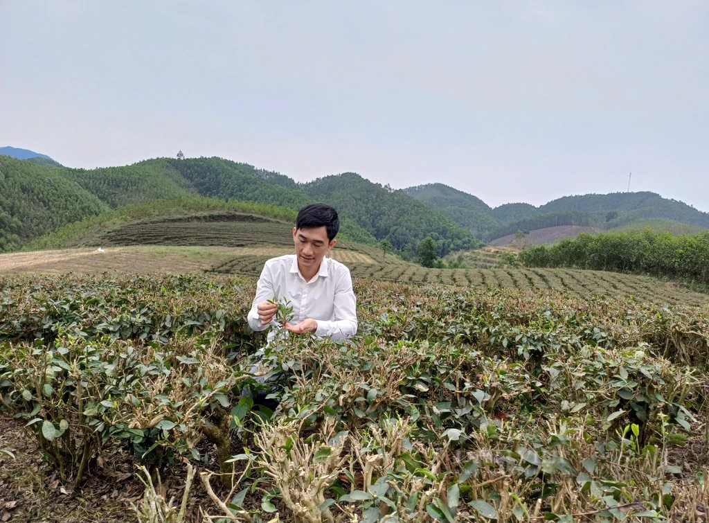 Nông sản Thái Nguyên tăng 20% giá trị nhờ "tấm hộ chiếu" Sở hữu trí tuệ.