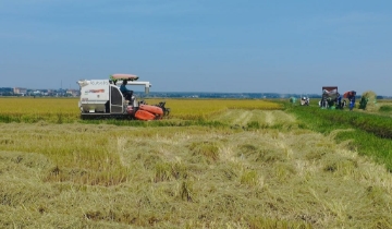 Khoa học công nghệ thành tài sản trí tuệ, HTX ở Quảng Trị đổi cách làm nông