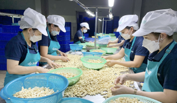 Nghịch lý ngành hàng xuất khẩu tỷ USD, doanh nghiệp vẫn lo