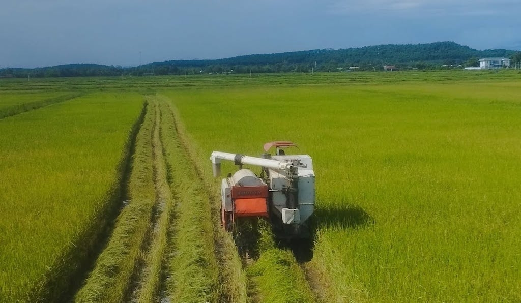 HTX ứng dụng cơ giới hóa và công nghệ mới trên cánh đồng lúa, góp phần nâng giá trị sản phẩm và tài sản trí tuệ.