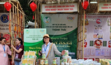 HTX Thành Thái và giấc mơ biến cây tre Tây Ninh thành hệ sinh thái kinh tế tuần hoàn