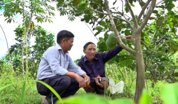 Đà Nẵng thúc HTX làm “cầu nối” đưa công nghệ đến nông dân