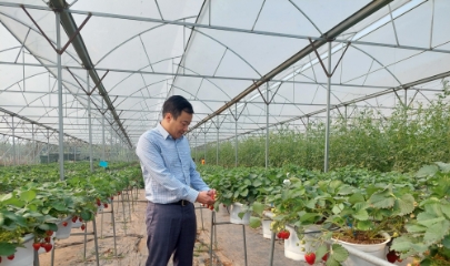 Tổng dữ liệu do các đơn vị cung cấp giải pháp TXNG và các tỉnh, thành phố kết nối, cập nhật vào hệ thống của Bộ đạt 158.234 sản phẩm.