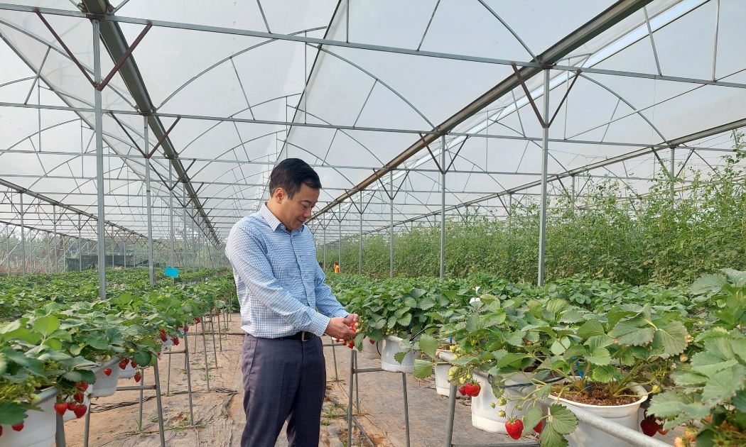 Tổng dữ liệu do các đơn vị cung cấp giải pháp TXNG và các tỉnh, thành phố kết nối, cập nhật vào hệ thống của Bộ đạt 158.234 sản phẩm.