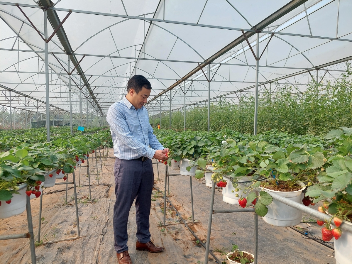 Tổng dữ liệu do các đơn vị cung cấp giải pháp TXNG và các tỉnh, thành phố kết nối, cập nhật vào hệ thống của Bộ đạt 158.234 sản phẩm.