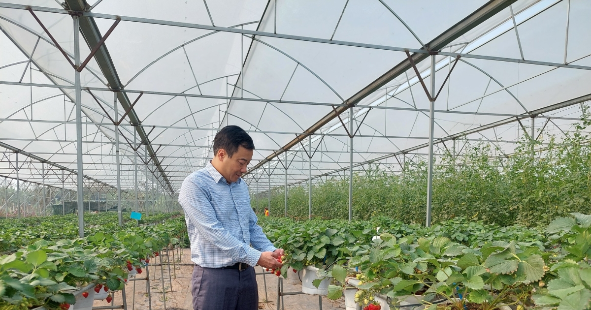 Gần 160.000 sản phẩm được cập nhật vào Hệ thống truy xuất nguồn gốc nông sản