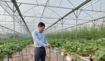 Gần 160.000 sản phẩm được cập nhật vào Hệ thống truy xuất nguồn gốc nông sản
