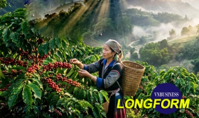 Cà phê Trường Sơn và câu hỏi một hợp tác xã tự đặt cho chính mình