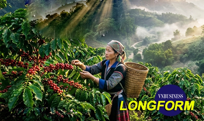 Cà phê Trường Sơn và câu hỏi một hợp tác xã tự đặt cho chính mình