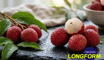 Từ câu lạc bộ VAC đến trái vải thiều OCOP 5 sao của HTX Hồng Xuân