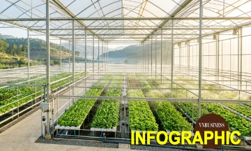 Từ luống rau ngoài trời đến gần 100 ha nhà kính của HTX Hiền Thi