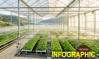 Từ luống rau ngoài trời đến gần 100 ha nhà kính của HTX Hiền Thi