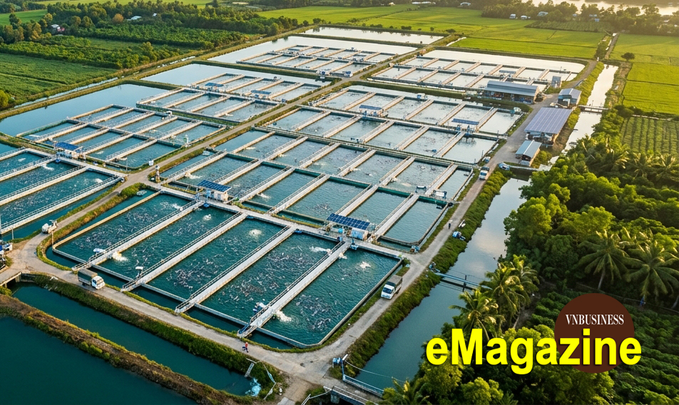 Từ ao cá Hồng Hưng đến lớp chuyển giao công nghệ cho Đông Nam Á