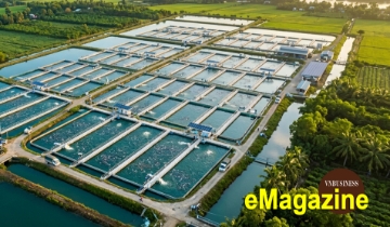 Từ ao cá Hồng Hưng đến lớp chuyển giao công nghệ cho Đông Nam Á
