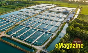 Từ ao cá Hồng Hưng đến lớp chuyển giao công nghệ cho Đông Nam Á