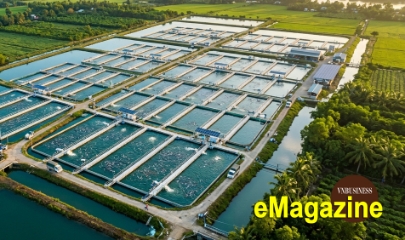Từ ao cá Hồng Hưng đến lớp chuyển giao công nghệ cho Đông Nam Á