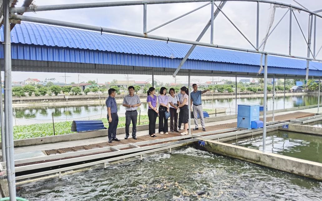 Thành phẩm thủy sản chất lượng cao được bảo quản lạnh chuẩn bị đưa tới các kênh siêu thị và xuất khẩu