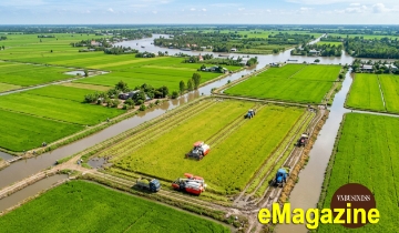 Một hợp tác xã và 16.000 ha trong Đề án một triệu ha lúa chất lượng cao