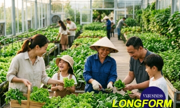 Giấy khai sinh điện tử cho mỗi bó rau và mô hình xuất khẩu tại chỗ ở Văn Giang