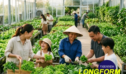 Giấy khai sinh điện tử cho mỗi bó rau và mô hình xuất khẩu tại chỗ ở Văn Giang