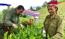 Còn nhiều phụ nữ khởi nghiệp gặp khó trong tiếp cận nguồn vốn, công nghệ, thông tin thị trường...