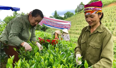 Còn nhiều phụ nữ khởi nghiệp gặp khó trong tiếp cận nguồn vốn, công nghệ, thông tin thị trường...