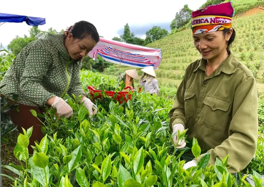 Còn nhiều phụ nữ khởi nghiệp gặp khó trong tiếp cận nguồn vốn, công nghệ, thông tin thị trường...