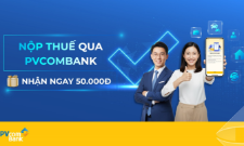 VnBusiness