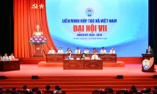 Phó Thủ tướng Chính phủ Nguyễn Văn Thắng gửi thư chúc mừng Đại hội VII Liên minh HTX Việt Nam