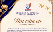 Chủ tịch Liên minh HTX Việt Nam gửi thư cảm ơn sau Đại hội VII