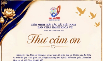 Chủ tịch Liên minh HTX Việt Nam gửi thư cảm ơn sau Đại hội VII