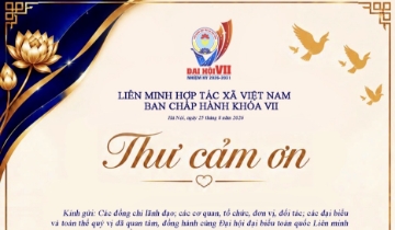 Chủ tịch Liên minh HTX Việt Nam gửi thư cảm ơn sau Đại hội VII