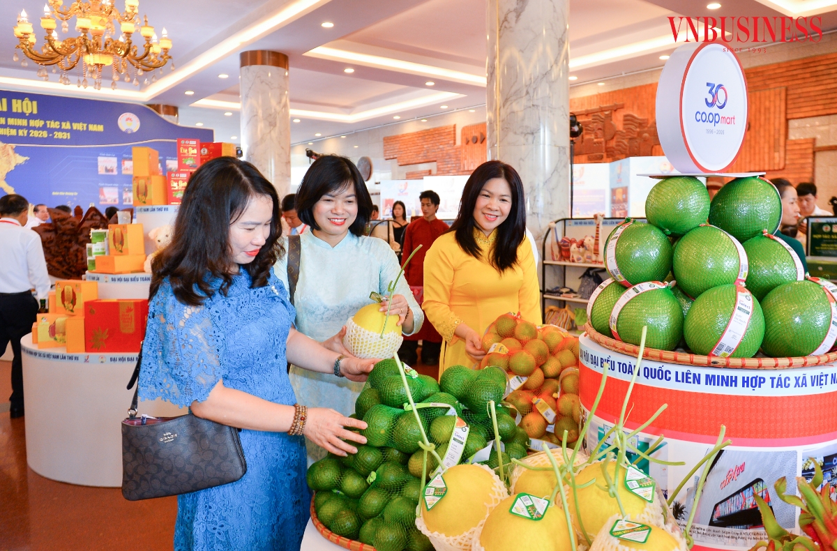 Các đại biểu trao đổi, tìm hiểu thông tin về sản phẩm tại gian hàng trưng bày, cho thấy sự quan tâm ngày càng lớn tới chất lượng, nguồn gốc và giá trị gia tăng của sản phẩm HTX.