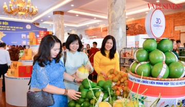 Sản phẩm HTX “khoe sắc” bên lề Đại hội Liên minh HTX Việt Nam lần thứ VII