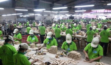 Ngành gỗ Việt Nam tăng tốc giữa áp lực thuế quan và cuộc đua mở rộng thị trường