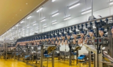 Ngày 25/8, lô thịt gà chế biến đầu tiên của Việt Nam đã được xuất khẩu sang Hàn Quốc.