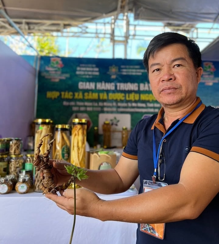 Bảo hộ SHTT giúp các HTX trong ngành cạnh tranh lành mạnh trên thị trường.