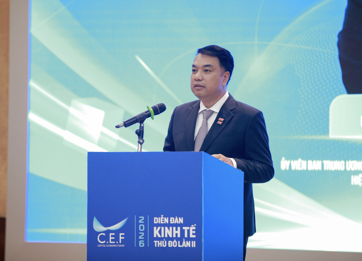 TS Mạc Quốc Anh.