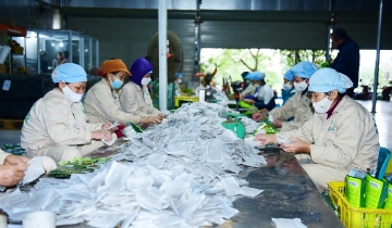 Khi HTX coi sở hữu trí tuệ là tài sản để phát triển thương hiệu